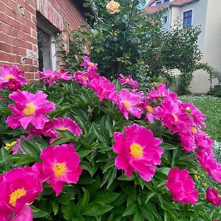 דירה Toplage Altstadthaus